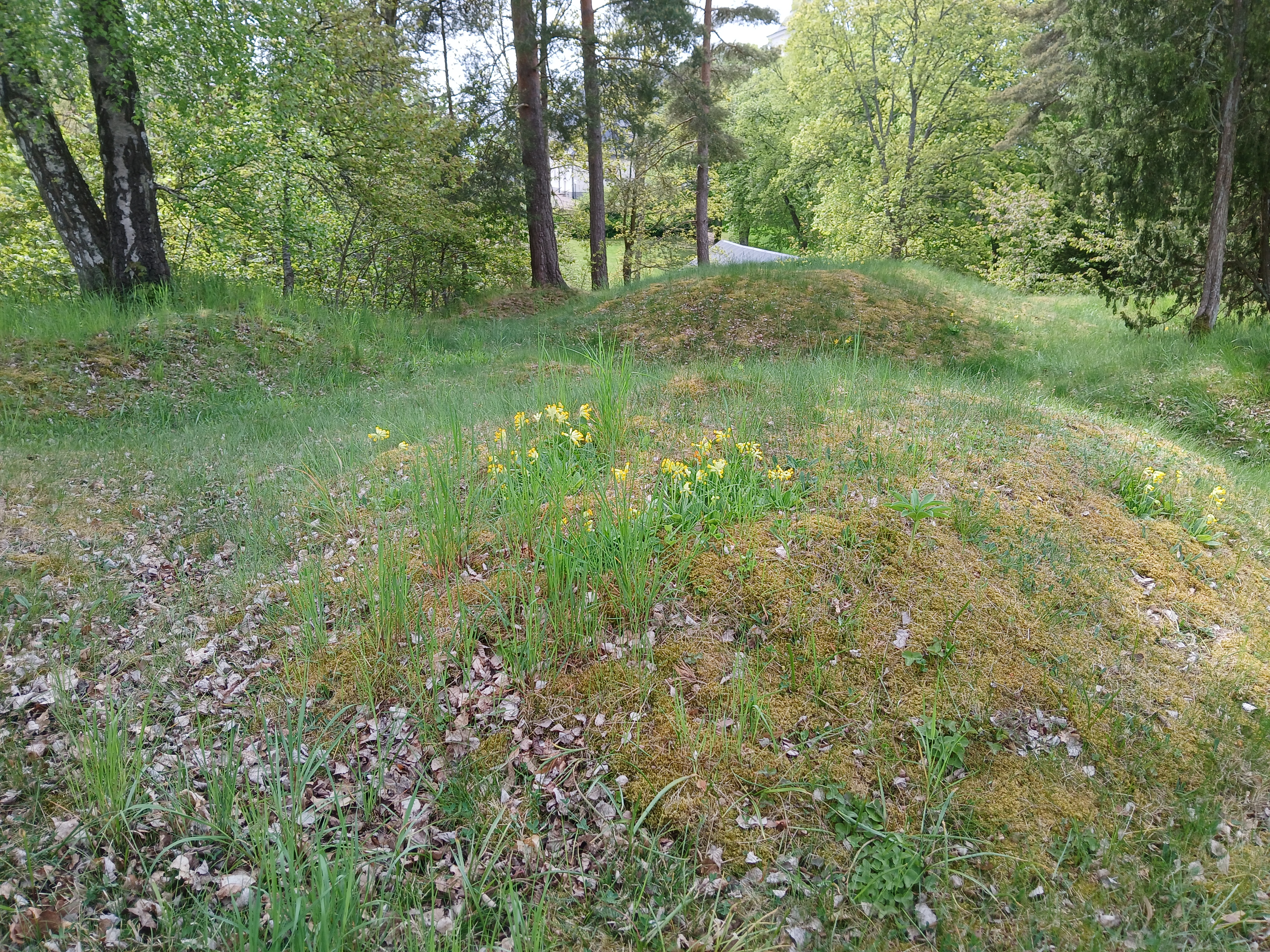 Kulterna – ett gravfält i Kättilstad, Kinda kommun. Kättilstads kyrka i bakgrunden.