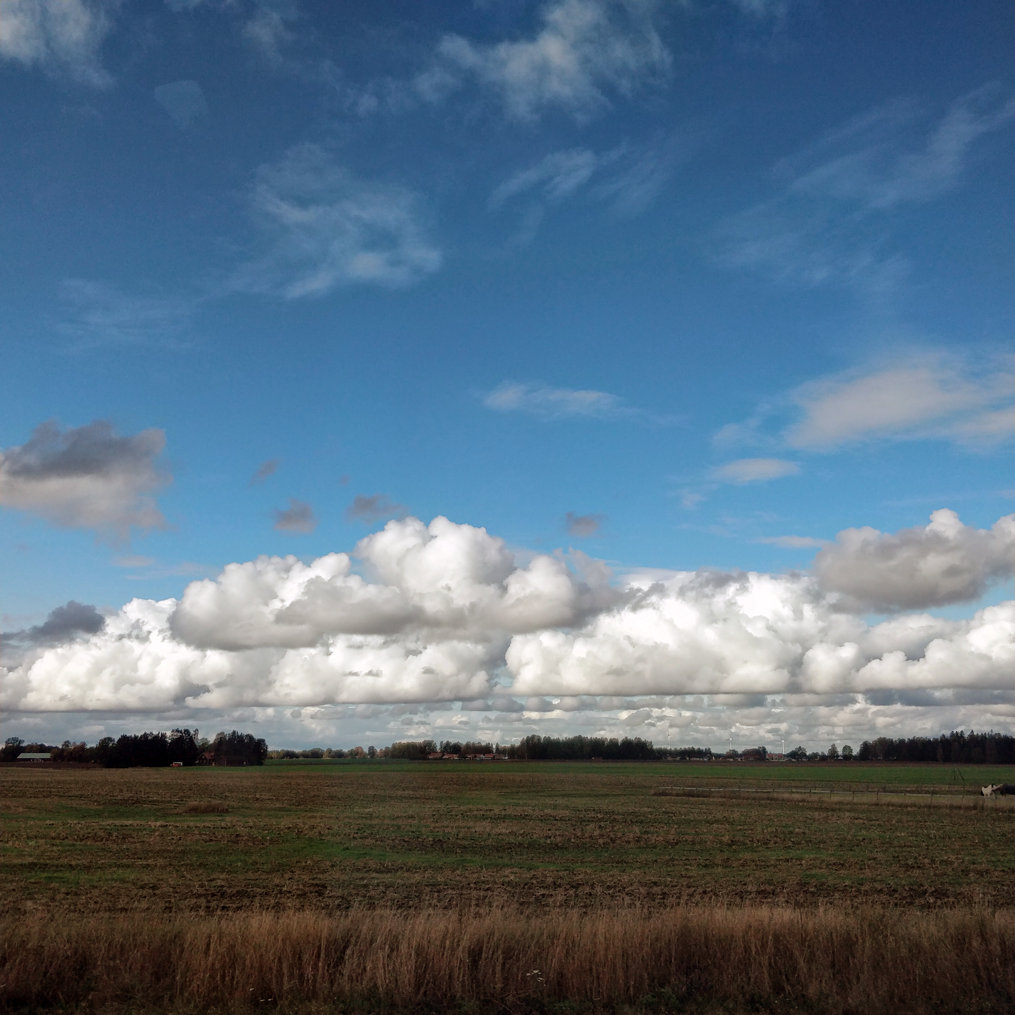 Ett stort grönt fält, moln på en blå himmel