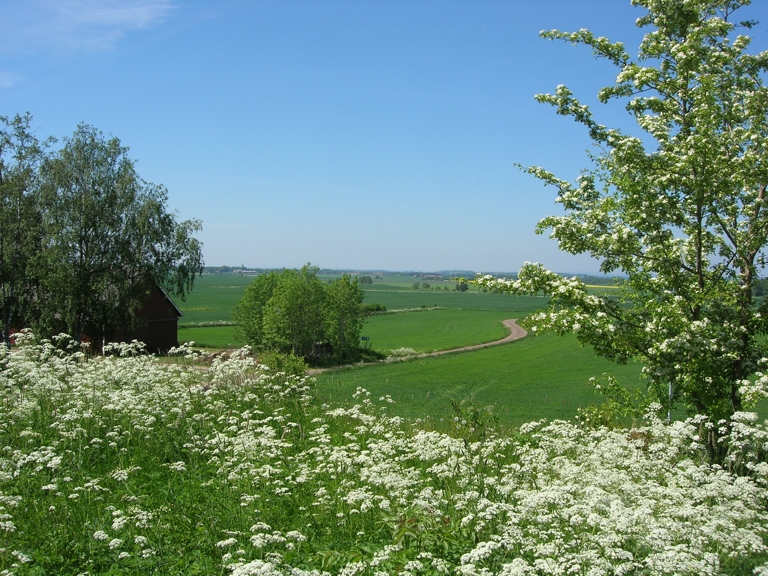 Fornlämningen Askahögen utanför Vadstena.