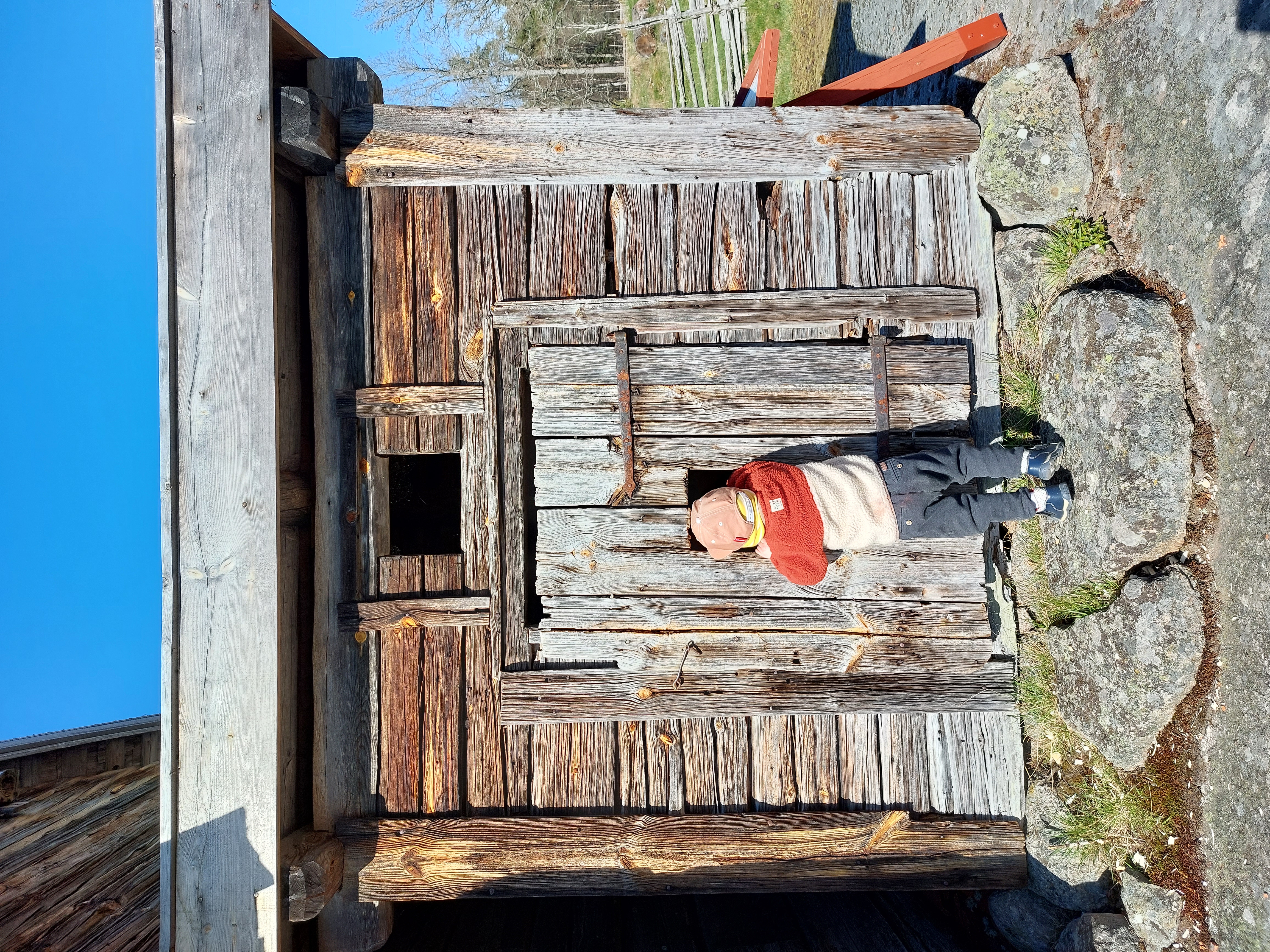 Ett barn tittar in genom en liten lucka på en gammal svinstia. Bild från familjedagen Öna i körsbärsblom år 2023.