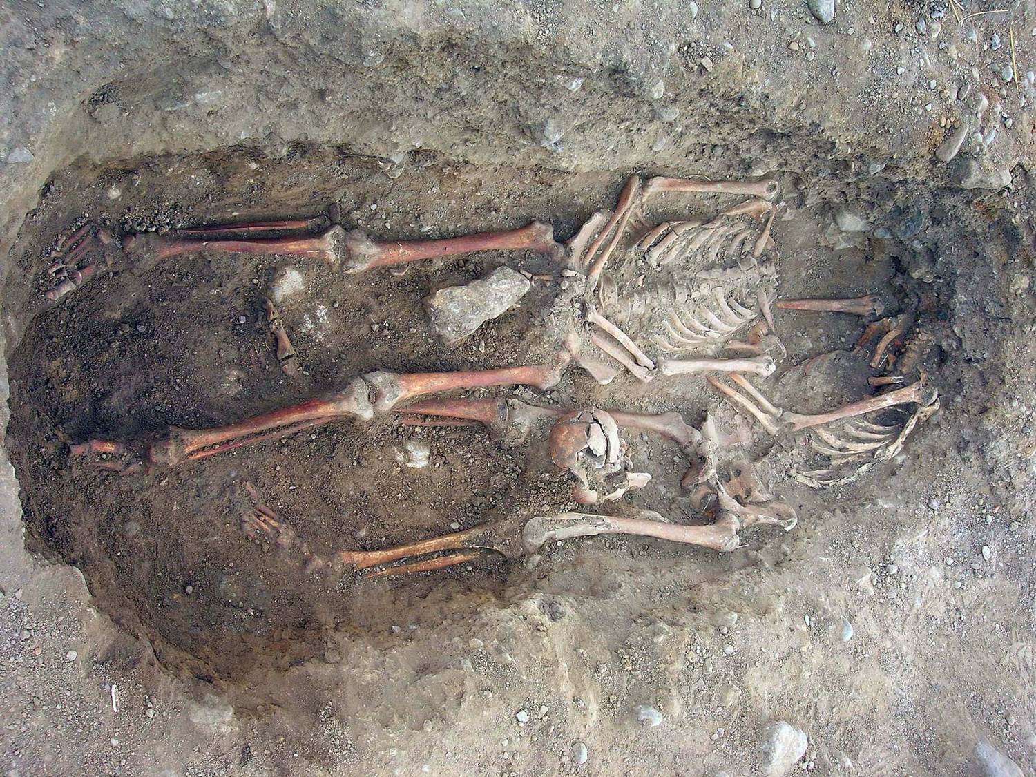 Arkeologi. Skelett 