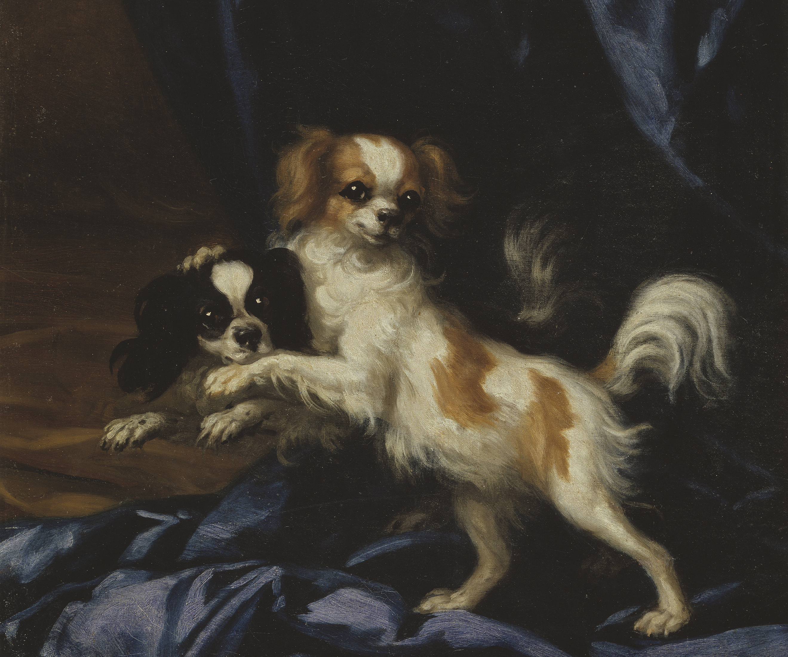 David Klöcker Ehrenstrahl (1628-1698), Två små hundar. Olja på duk, 58x52 cm. Nationalmuseum.