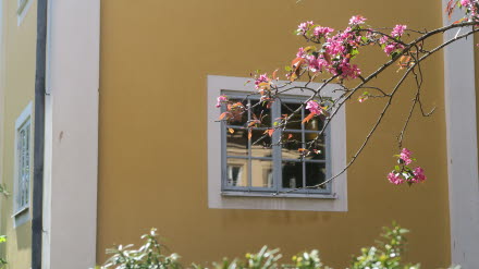 En äldre gul fasad med ett fönster.