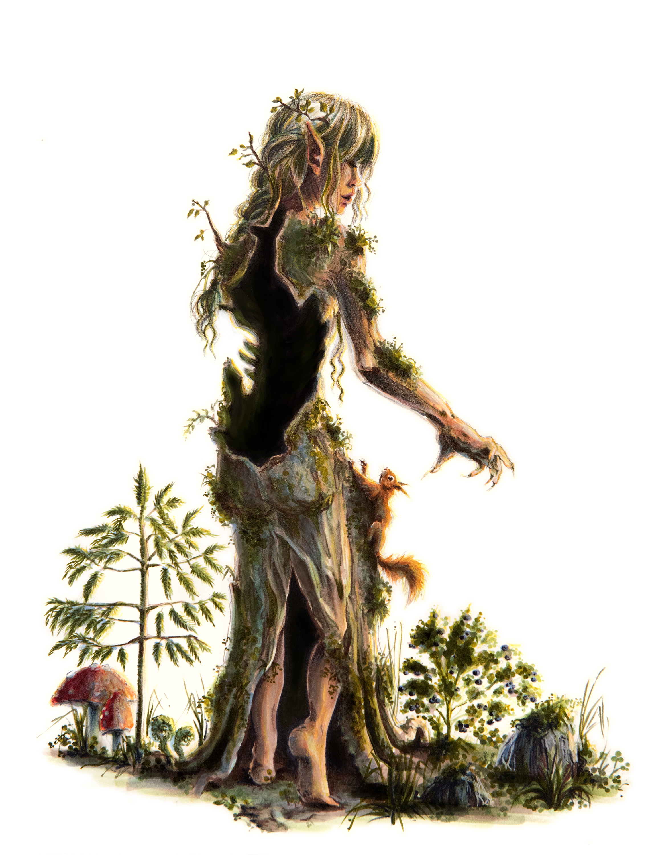 Skogsrå. Illustration av Ann-Sofie Mattson ur boken Det förtrollade Östergötland.