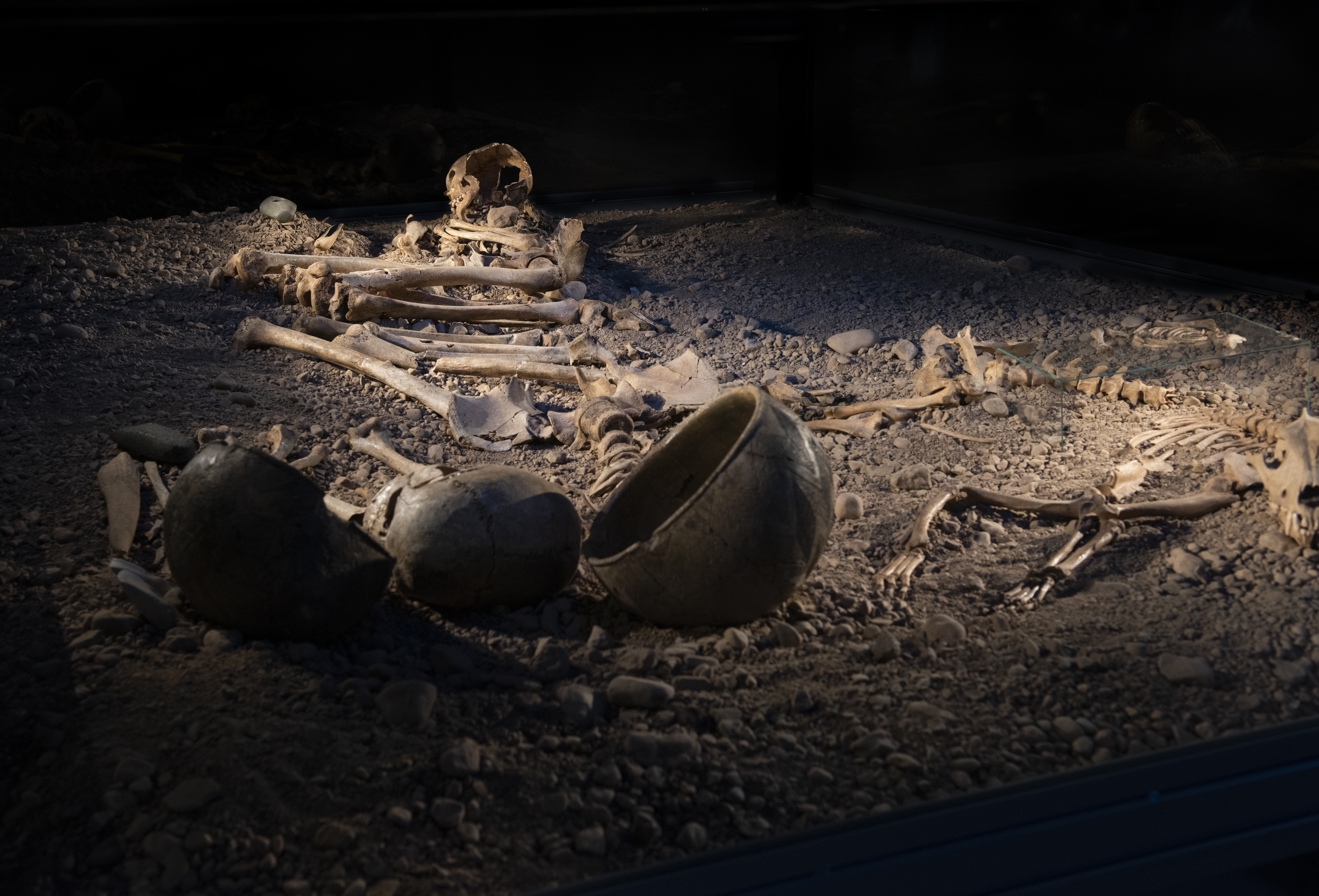 I förgrunden två runda lerkrukor och bakom skymtar skelett från hund och människa