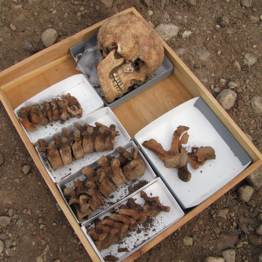 Fynd från arkeologisk undersökning av Galgiebergs lyckorna, Skänninge gamla avrättningsplats.