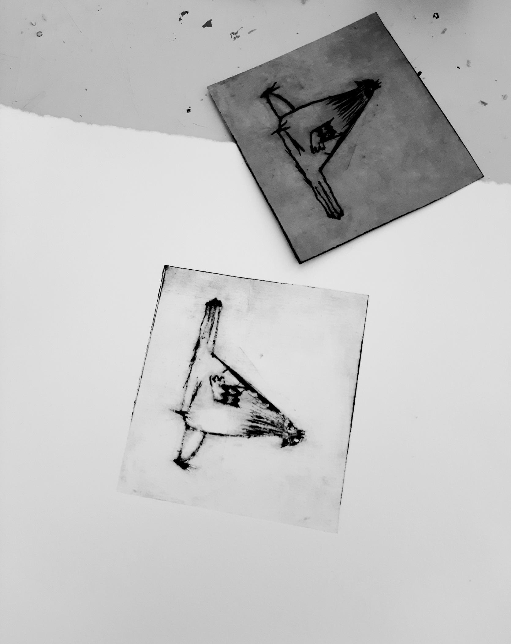 Agneta Östlunds alster, till workshop i grafik.