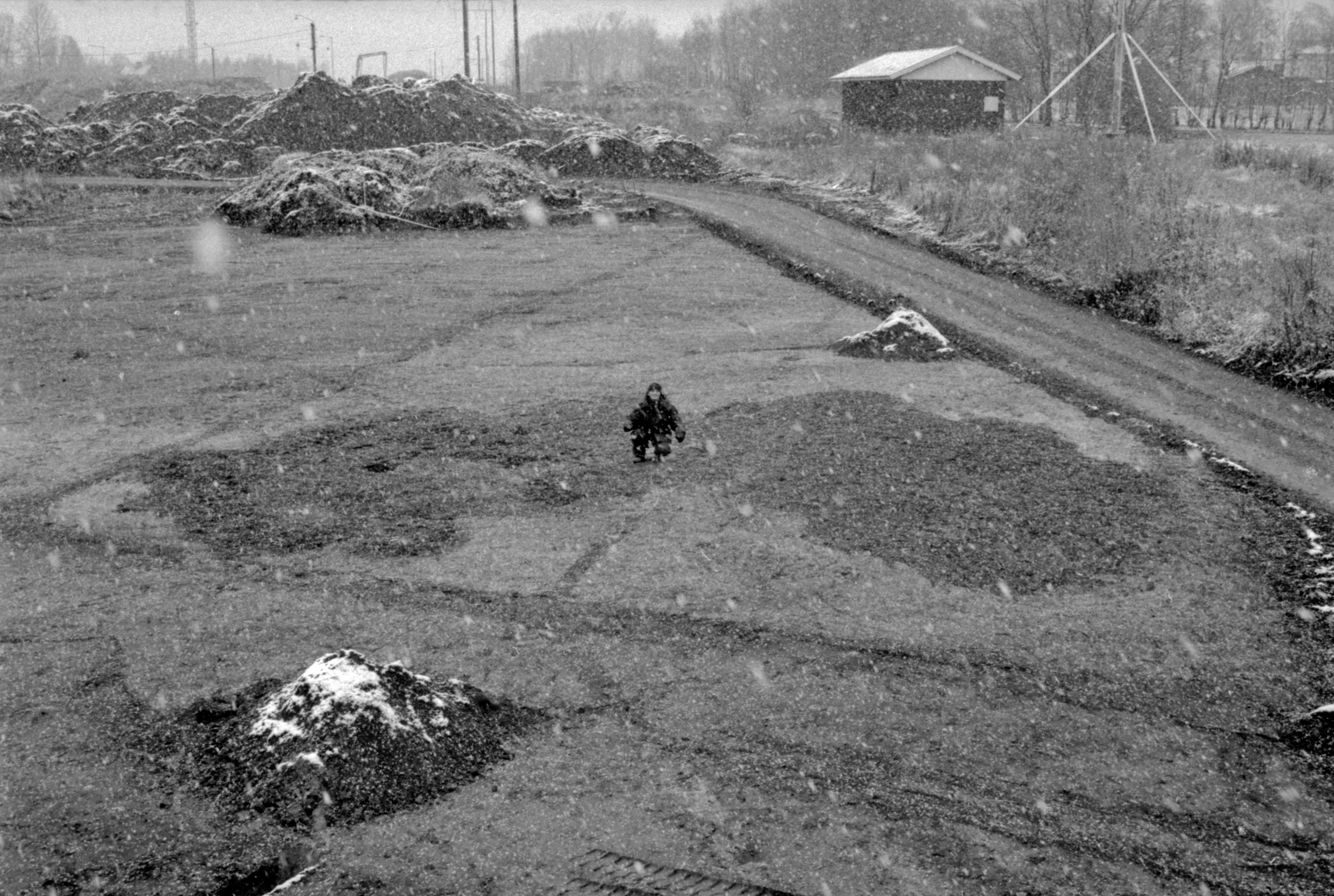  Ett gropsystem från utgrävningen av den stora bronsåldersboplatsen vid Pryssgården, Norrköping. Foto: Fredrik Molin. 