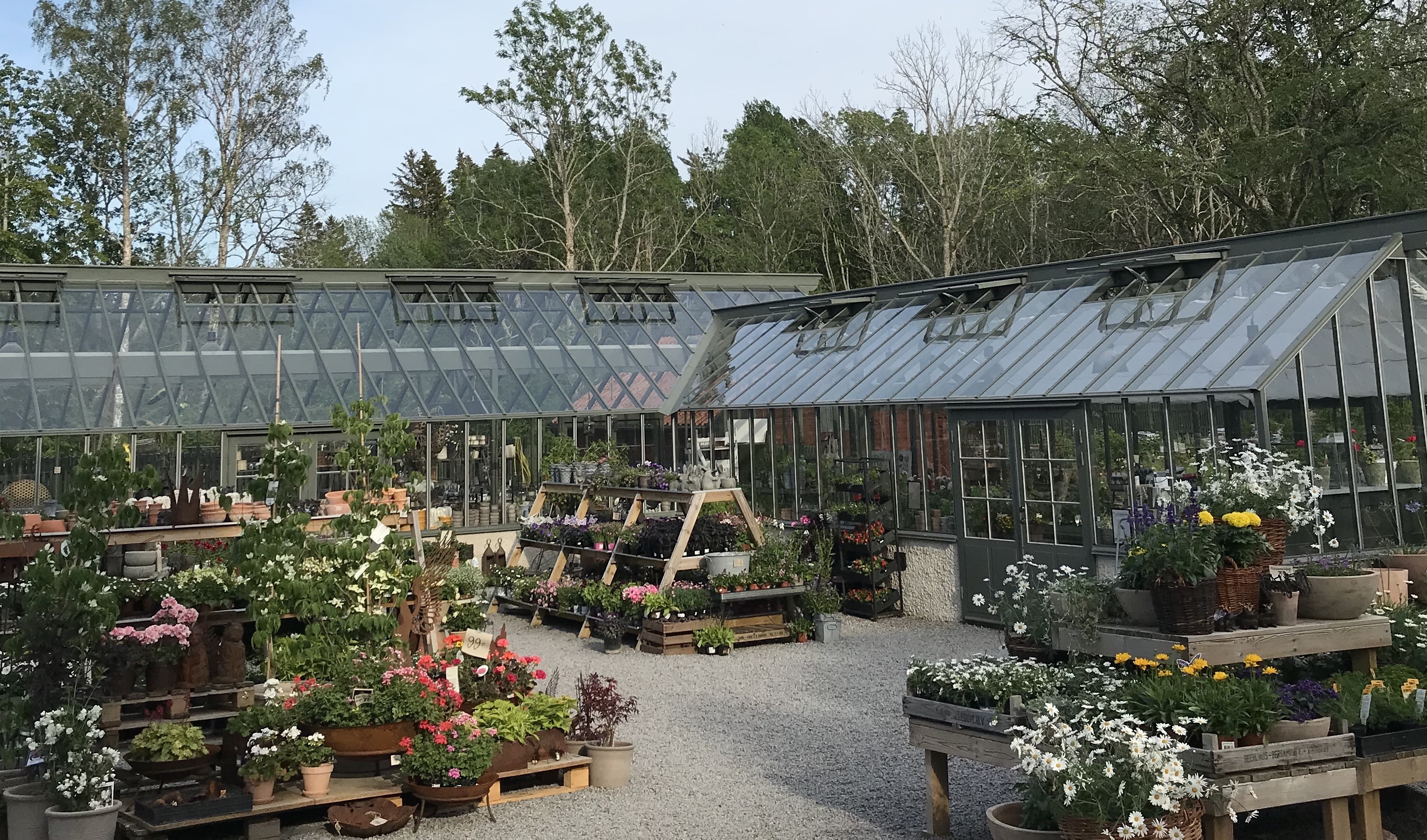 Handelsträdgården Löfstad slott.