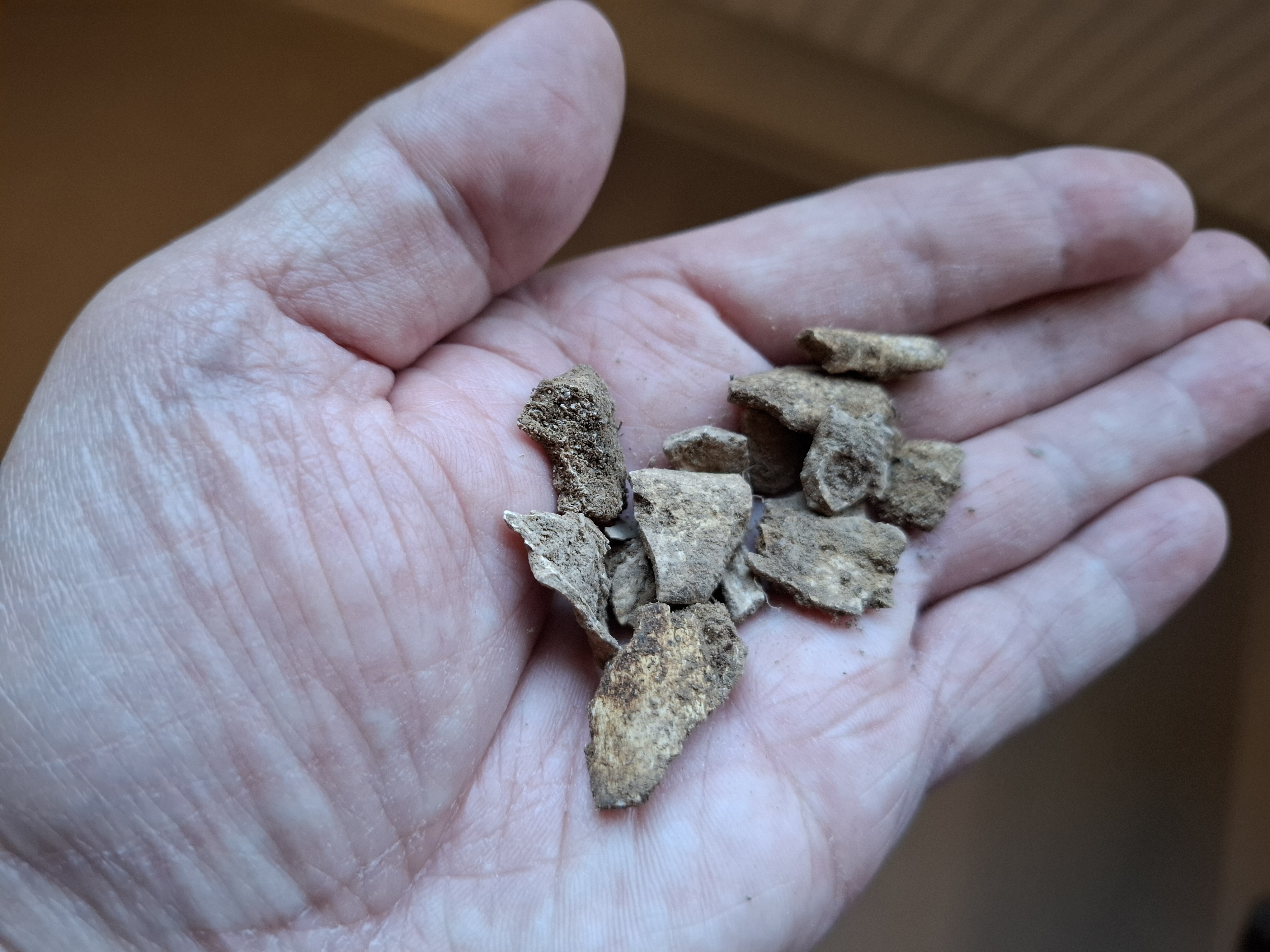Arkeologer från museet gräver i Grebo, mellan Linköping och Åtvidaberg, inför ombyggnaden av riksväg 35.