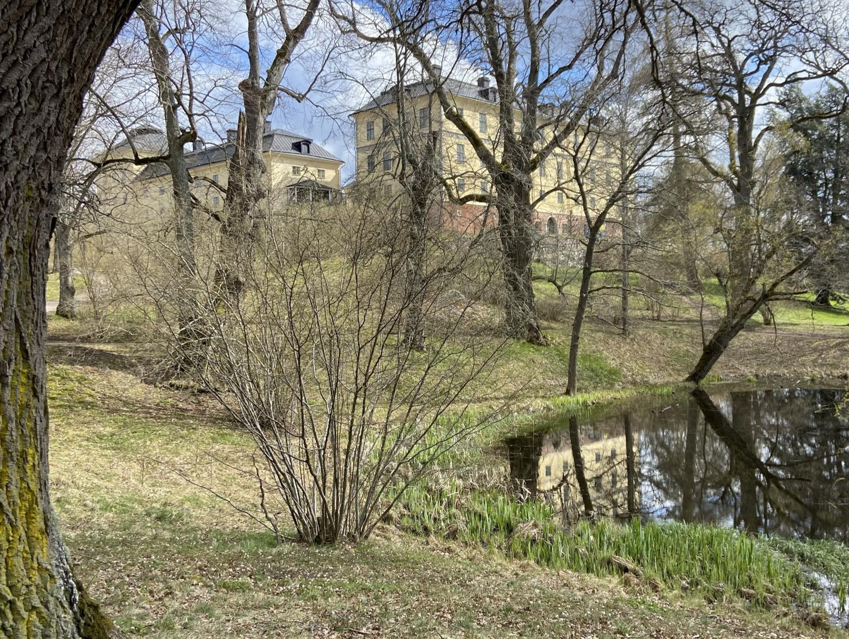 En tidig vårbild från parken upp mot slottet.