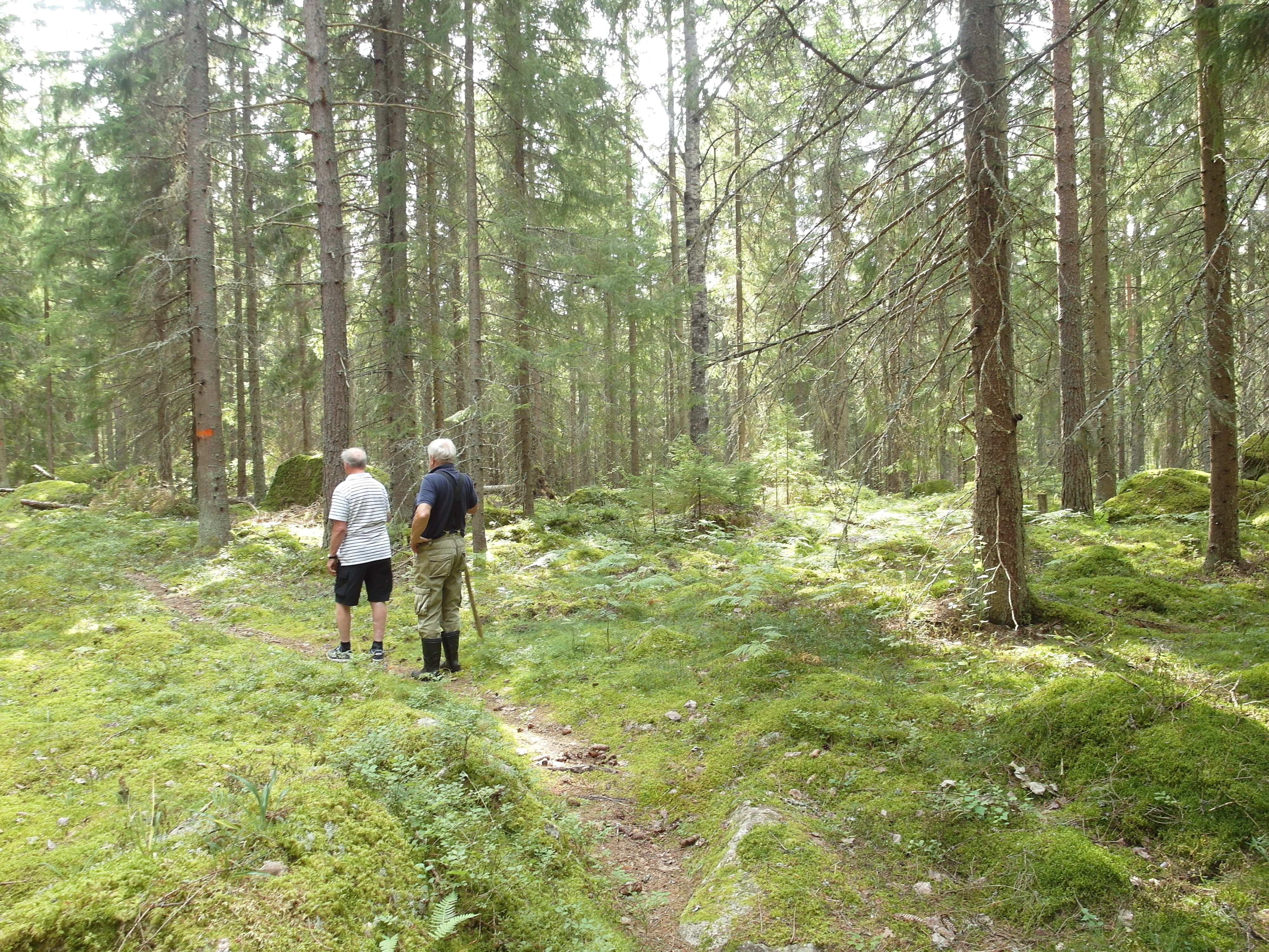 Två män ute och vandrar i skogen