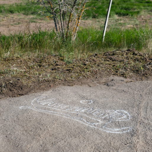 Nyupptäckt hällristning i form av ett skepp. I Staby, strax intill Gärstadverket, i norra Linköping.